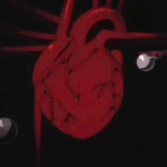 Аватарка пользователя shurany1985