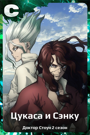 Карточка персонажа Цукаса и Сэнку