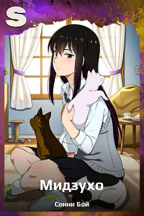 Карточка персонажа Мидзухо