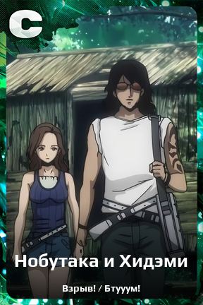 Карточка персонажа Нобутака и Хидэми