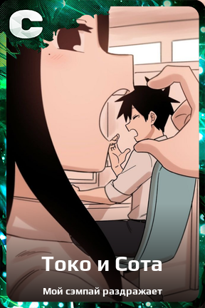 Карточка персонажа Токо и Сота