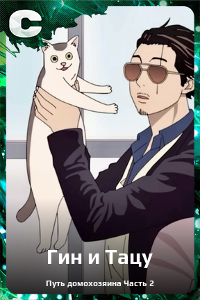 Карточка персонажа Гин и Тацу