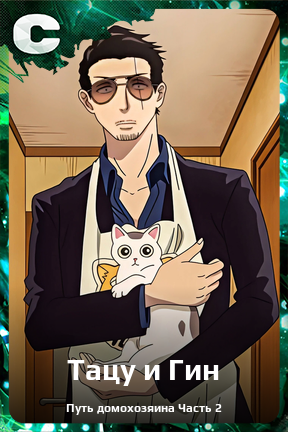 Карточка персонажа Тацу и Гин