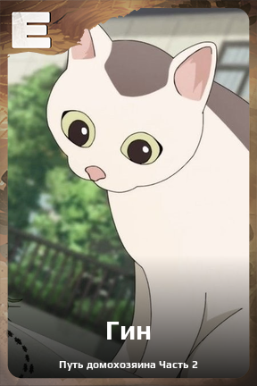 Карточка персонажа Гин