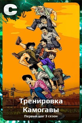 Карточка персонажа Тренировка Камогавы