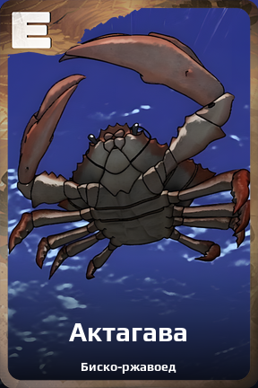 Карточка персонажа Актагава
