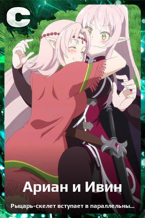 Карточка персонажа Ариан и Ивин