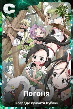 Карточка персонажа Погоня