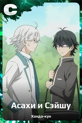 Карточка персонажа Асахи и Сэйшу