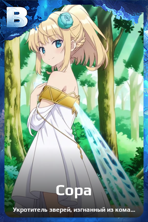 Карточка персонажа Сора