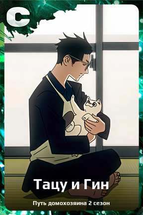 Карточка персонажа Тацу и Гин