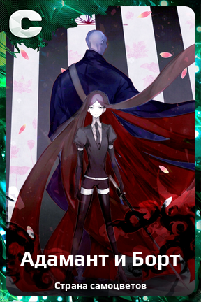 Карточка персонажа Адамант и Борт