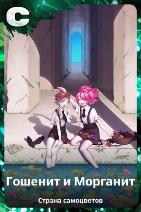 Карточка персонажа Гошенит и Морганит