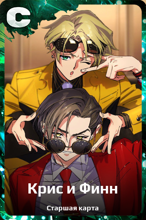 Карточка персонажа Крис и Финн