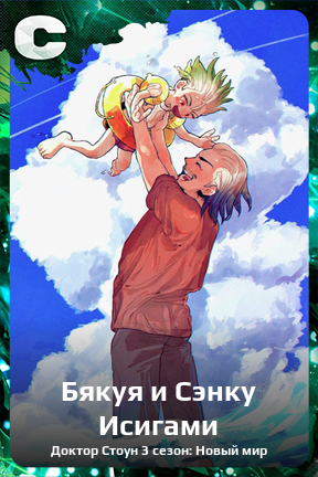 Карточка персонажа Бякуя и Сэнку Исигами