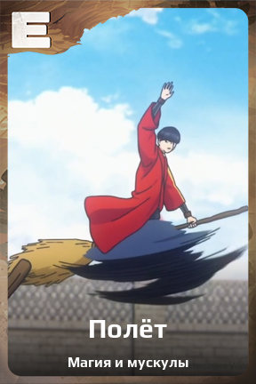 Карточка персонажа Полёт