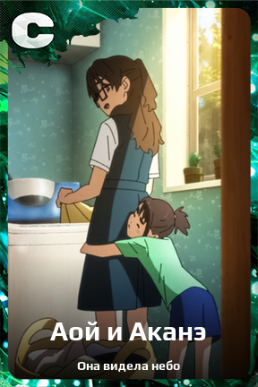 Карточка персонажа Аой и Аканэ