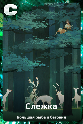 Карточка персонажа Слежка