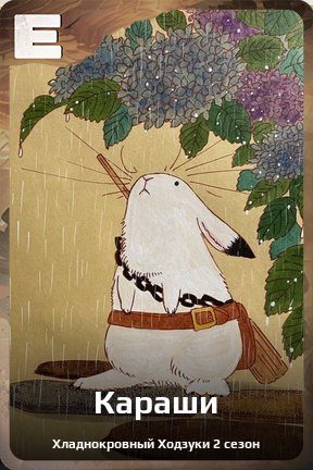 Карточка персонажа Караши