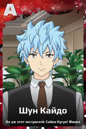 Карточка персонажа Шун Кайдо