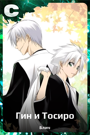 Карточка персонажа Гин и Тосиро