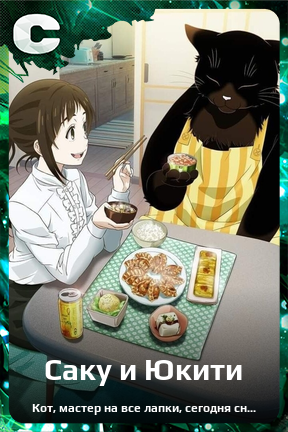 Карточка персонажа Саку и Юкити