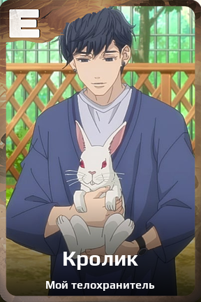 Карточка персонажа Кролик