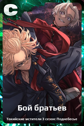 Карточка персонажа Бой братьев