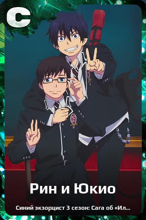Карточка персонажа Рин и Юкио