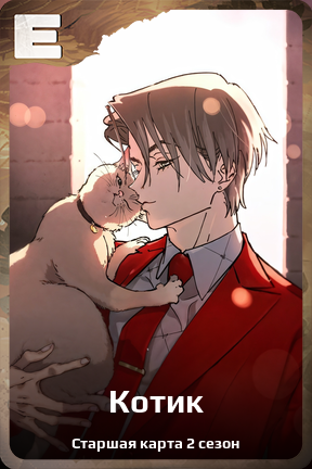 Карточка персонажа Котик