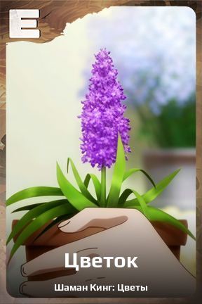 Карточка персонажа Цветок