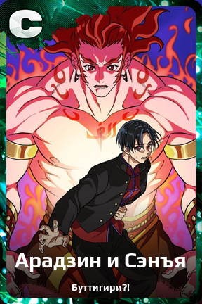 Карточка персонажа Арадзин и Сэнъя