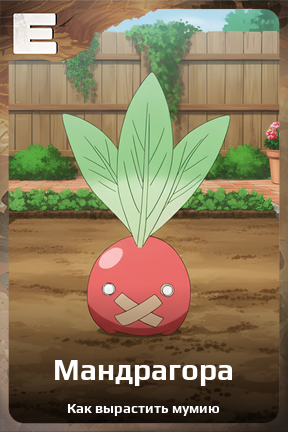 Карточка персонажа Мандрагора