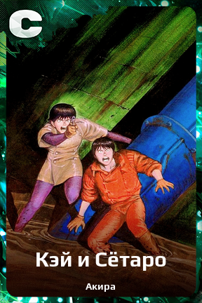 Карточка персонажа Кэй и Сётаро