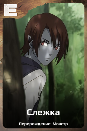 Карточка персонажа Слежка