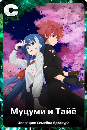 Карточка персонажа Муцуми и Тайё