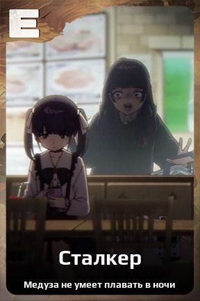 Карточка персонажа Сталкер