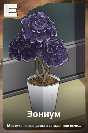 Карточка персонажа Эониум