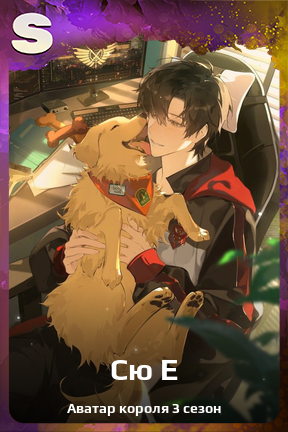 Карточка персонажа Сю Е