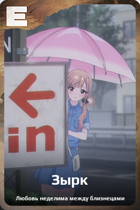 Карточка персонажа Зырк