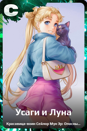Карточка персонажа Усаги и Луна
