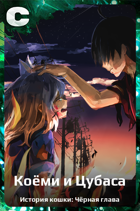 Карточка персонажа Коёми и Цубаса