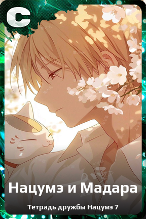 Карточка персонажа Нацумэ и Мадара