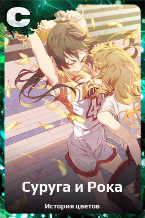 Карточка персонажа Суруга и Рока