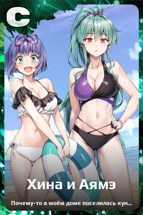 Карточка персонажа Хина и Аямэ