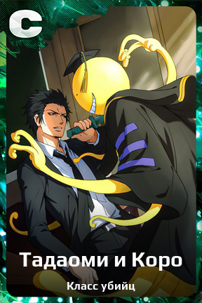 Карточка персонажа Тадаоми и Коро