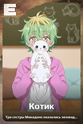 Карточка персонажа Котик