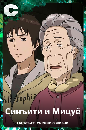 Карточка персонажа Синъити и Мицуё