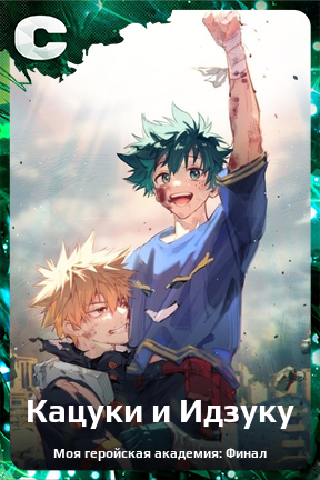 Карточка персонажа Кацуки и Идзуку