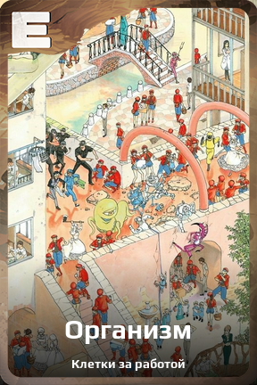 Карточка персонажа Организм